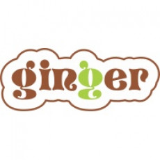 KnitPro "Ginger"